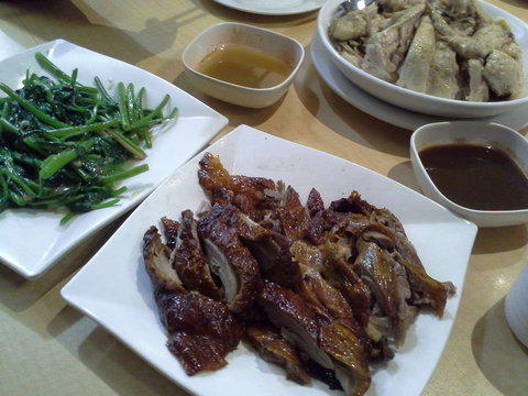 G Tree Cafe - Tourism Adelaide 0