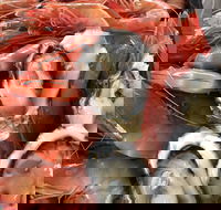 Mi Shells Seafood - Tourism Adelaide