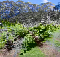 Woongooroo Estate Winery - Tourism Adelaide