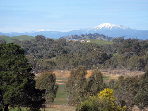 Chocolaterie RenMar - Tourism Adelaide 1