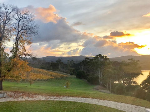 Waterton Hall Wines - Tourism Adelaide 1