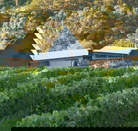 Two Bud Spur Vineyard - Tourism Adelaide