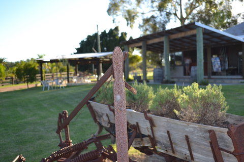 Ugly Duckling Wines - Tourism Adelaide 0