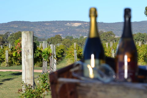 Ugly Duckling Wines - Tourism Adelaide 1