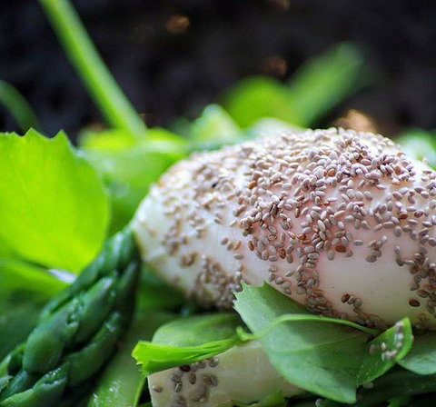 Australian Youth Hotel - Tourism Adelaide 5