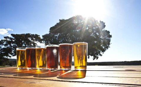 Mt Henry Tavern - Tourism Adelaide 13