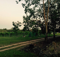 Brierley Wines - Tourism Adelaide