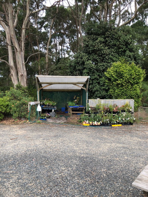 Cafe Brewer - Tourism Adelaide 2