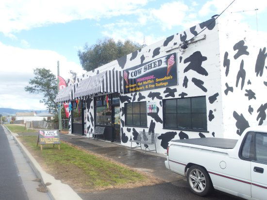 Avoca TAS Tourism Adelaide