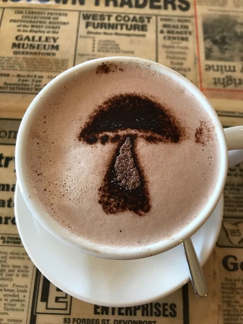 The Mushroom At Waratah - Tourism Adelaide 9