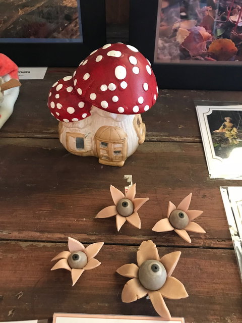 The Mushroom At Waratah - Tourism Adelaide 7