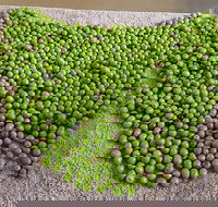 Wattle Hill Olives - Tourism Adelaide