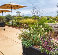 Arid Lands Botanic Garden Cafe - Tourism Adelaide