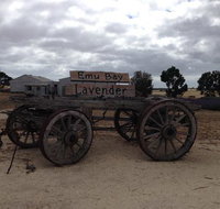 Emu Bay Lavender - Tourism Adelaide