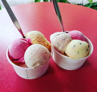 Daintree Ice Cream Company - Tourism Adelaide