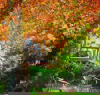 The Woods Ravensbourne - Tourism Adelaide