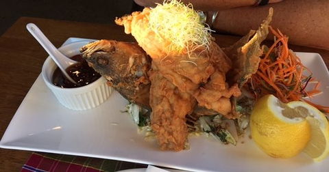 Ped's Kafe - Tourism Adelaide 0