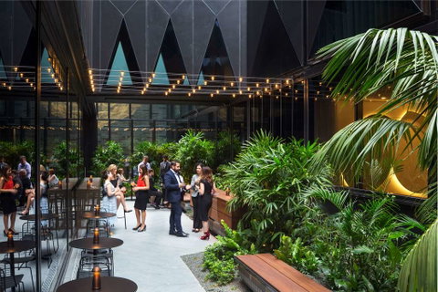 West Hotel Sydney, Curio Collection - Tourism Adelaide 4