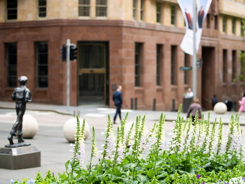 Mercure Sydney Martin Place - Tourism Adelaide 14