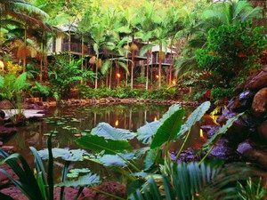 Daintree Eco Lodge & Spa - Tourism Adelaide 0