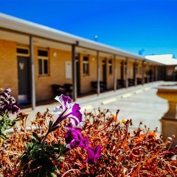 MAS Country Club Motor Inn - Tourism Adelaide 1