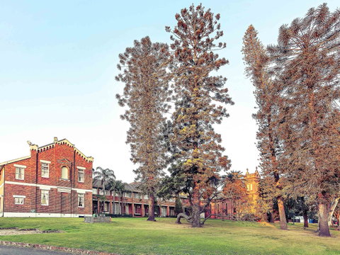 Mercure Monte Pio Hotel & Conference Ctr - Tourism Adelaide 0