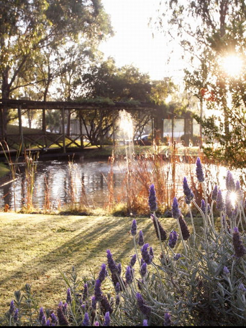 Hunter Valley Resort - Tourism Adelaide 0
