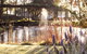 Hunter Valley Resort - thumb 0