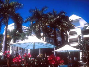 Alamanda Palm Cove - Tourism Adelaide 1