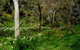 Lure Bed And Breakfast - thumb 17