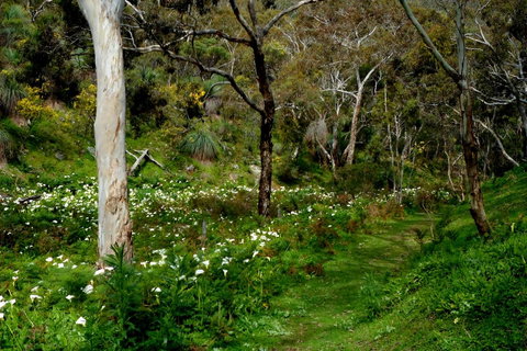 Lure Bed And Breakfast - Tourism Adelaide 17