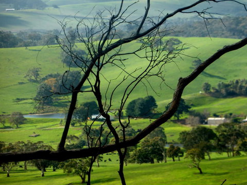 Lure Bed And Breakfast - Tourism Adelaide 21
