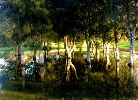 Lure Bed And Breakfast - Tourism Adelaide 18