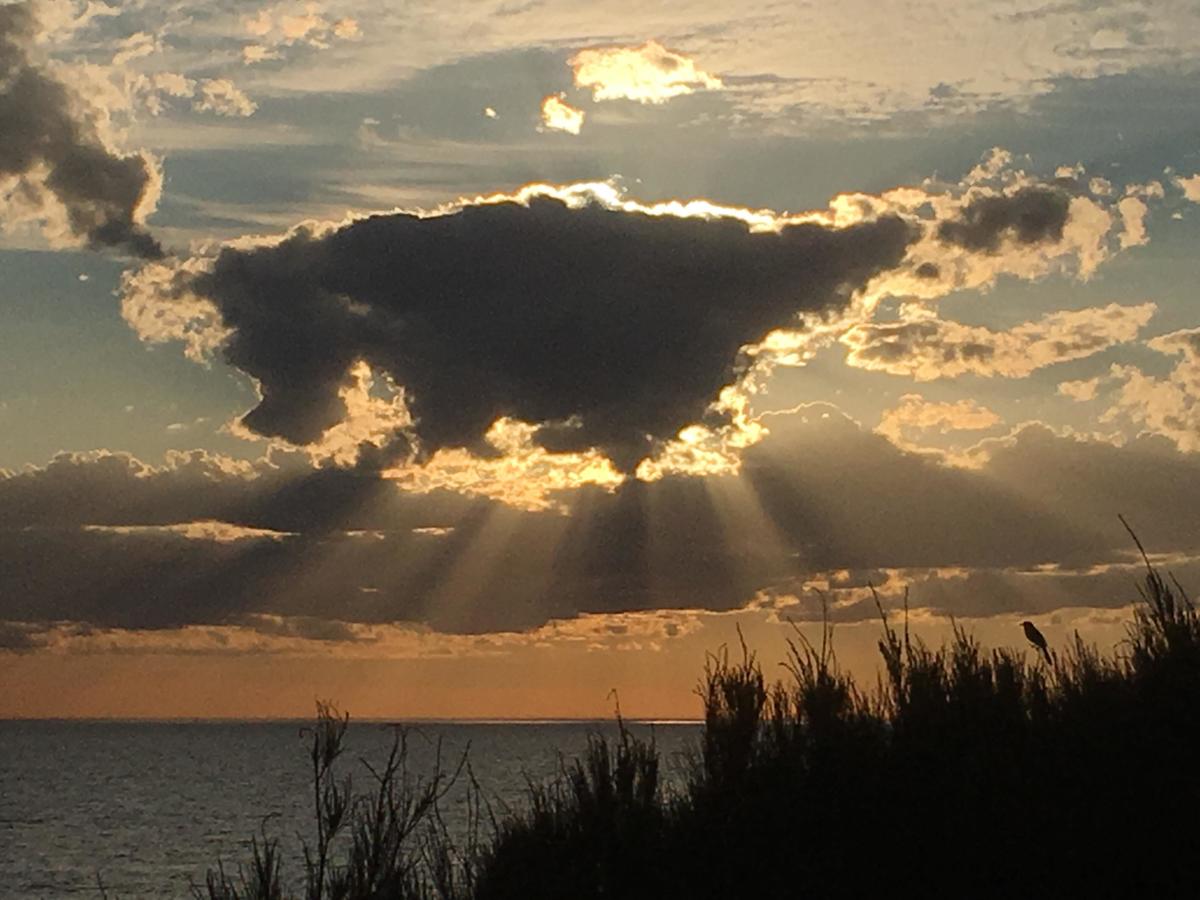 Semaphore Park SA Tourism Adelaide