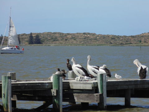 Baronet B & B - Tourism Adelaide 20