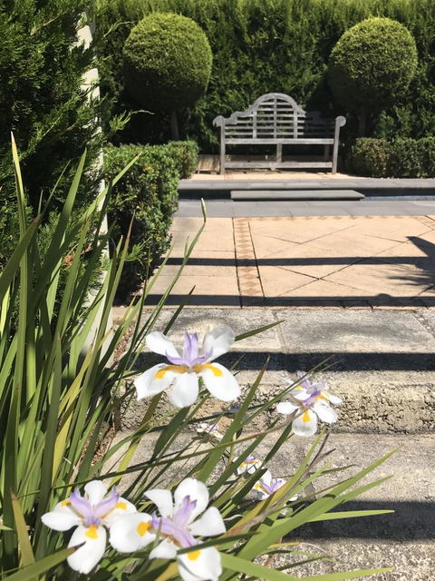 S T U D I O 22 Peaceful Retreat With Garden Views - Tourism Adelaide 13