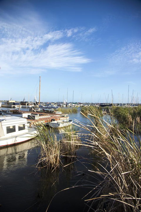 Wayfarers Cottage - Tourism Adelaide 15