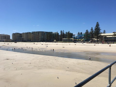 Luxury Beachside Accomodation - Tourism Adelaide 27