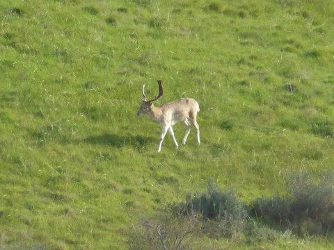 Molly's Chase - Tourism Adelaide 12