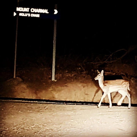 Molly's Chase - Tourism Adelaide 32