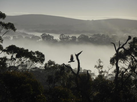 Molly's Chase - Tourism Adelaide 28