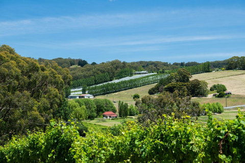 The Other House - Tourism Adelaide 3