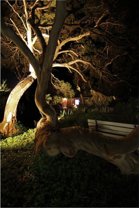 Cape Jervis Holiday Units - Tourism Adelaide 14