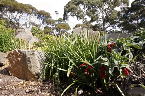 Cape Jervis Holiday Units - Tourism Adelaide 6