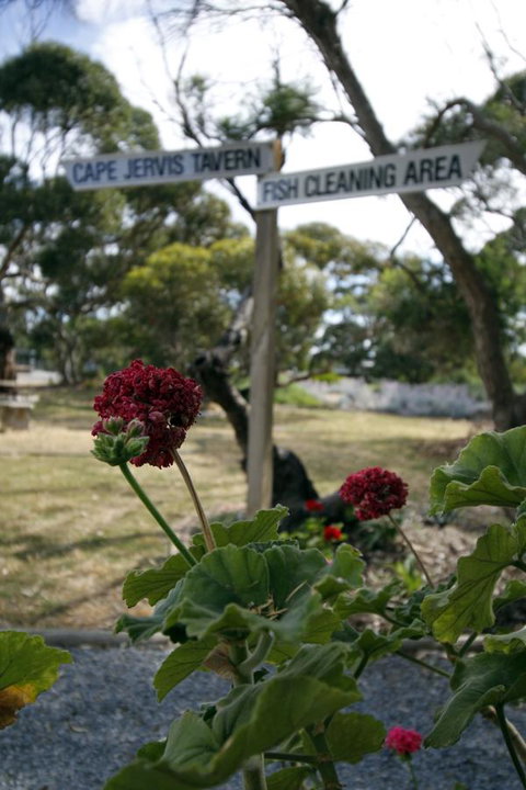 Cape Jervis Holiday Units - Tourism Adelaide 13