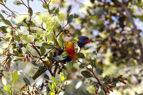 Cape Jervis Holiday Units - Tourism Adelaide 11