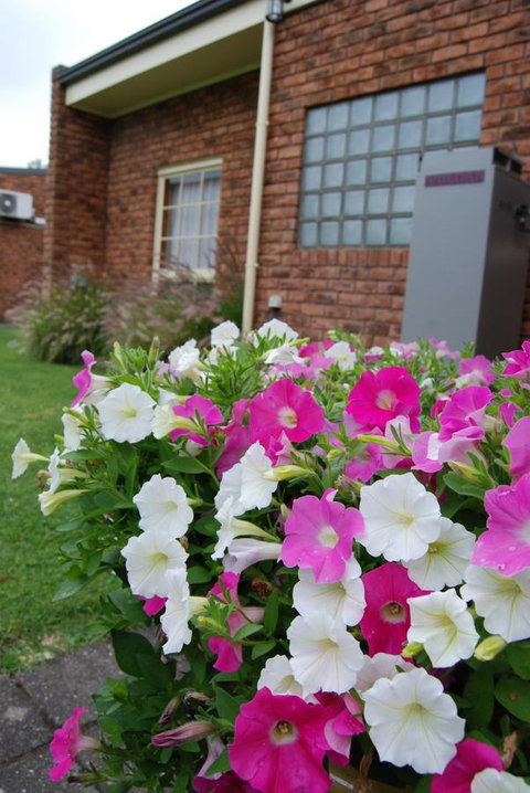 Arkana Motor Inn & Terrace Apartments - Tourism Adelaide 40