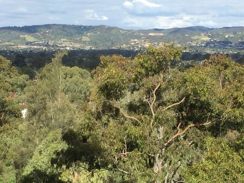 Tasha\'s Apartments On Warwick - Tourism Adelaide 35