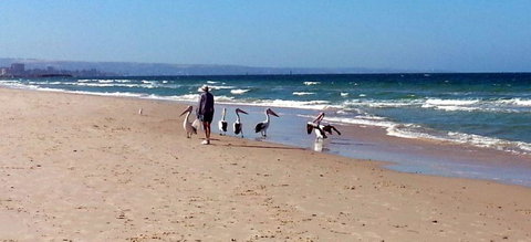 Atlantic West Beach Apartments - Tourism Adelaide 20