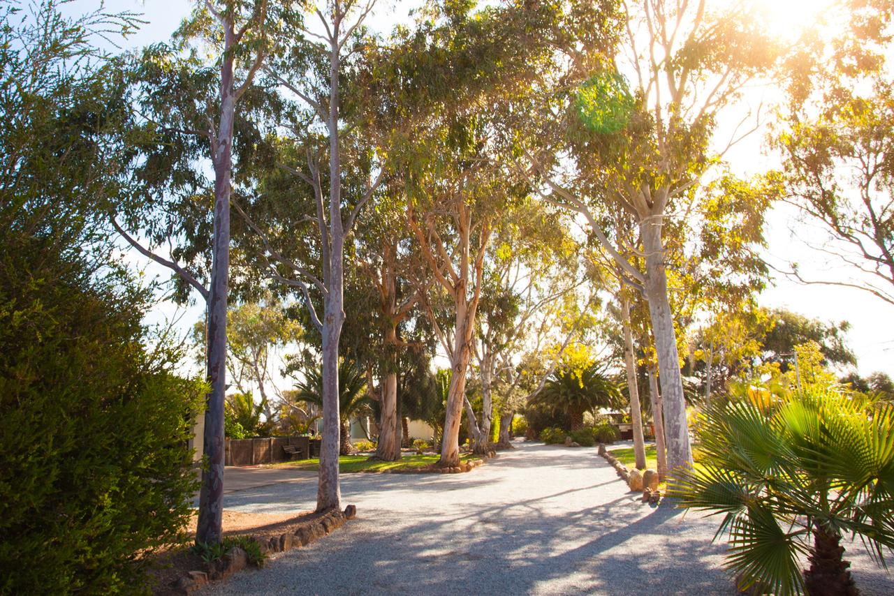  Tourism Adelaide